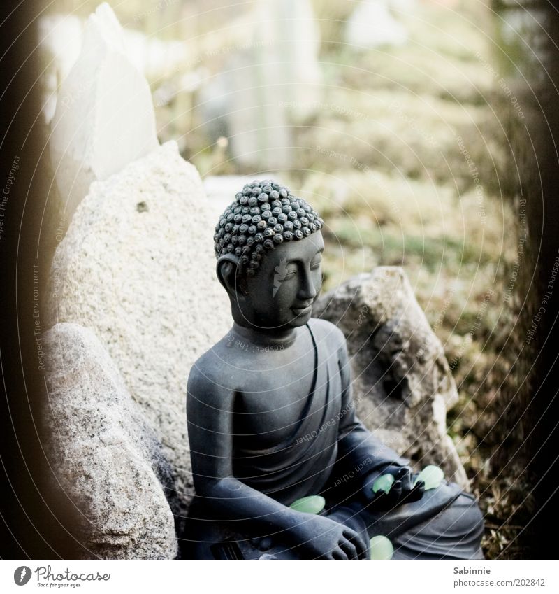 Allotment garden Zen Sculpture Statue of Buddha Garden Stone Sign Touch Relaxation Esthetic Elegant Positive Happy Contentment Religion and faith Meditation