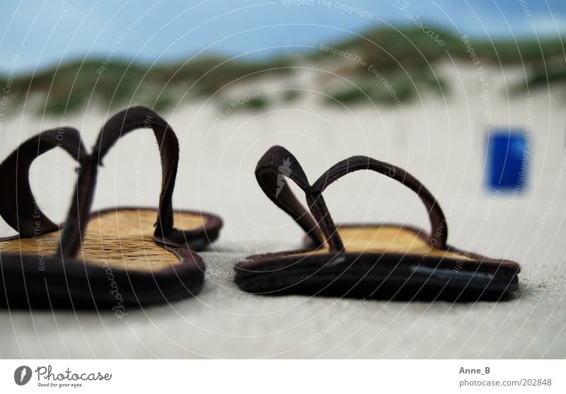 Hennes and Mauritz on the beach Summer Summer vacation Beach Nature Landscape Sand Coast Footwear Flip-flops Relaxation Hip & trendy Uniqueness Near Blue Brown