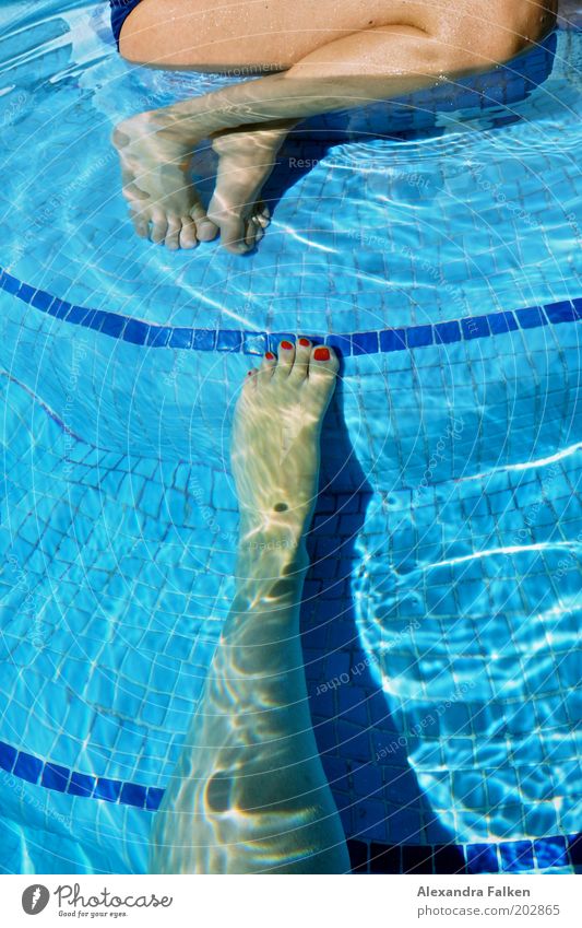 Foot looking for foot to swim together Woman Adults Legs Feet 2 Human being Swimming & Bathing Sit Swimming pool Tile Blue Water Nail polish Red Refrigeration