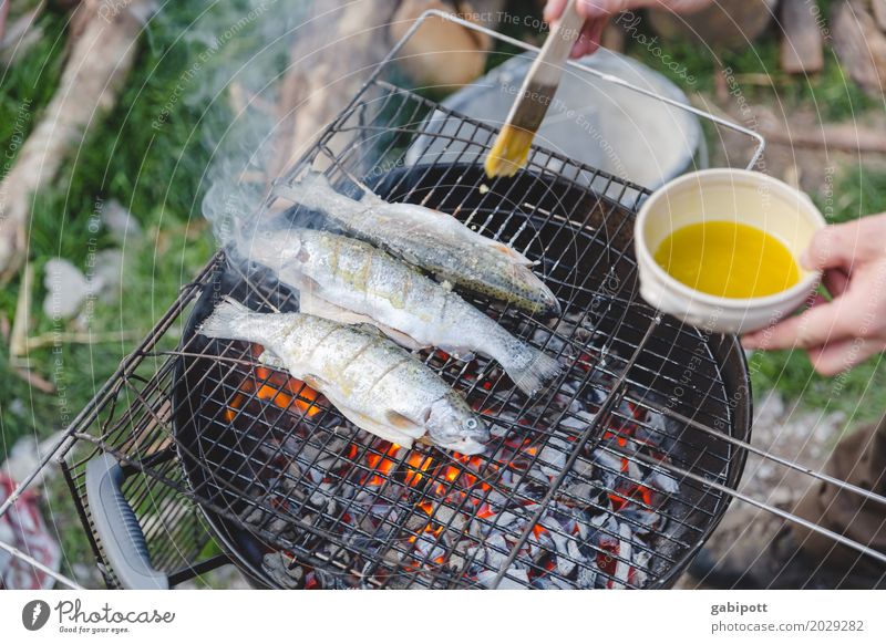 Barbecuing fish is better than barbecuing fishing Lifestyle Healthy Leisure and hobbies Child Joie de vivre (Vitality) BBQ Barbecue (event) Fish Charcoal Dinner
