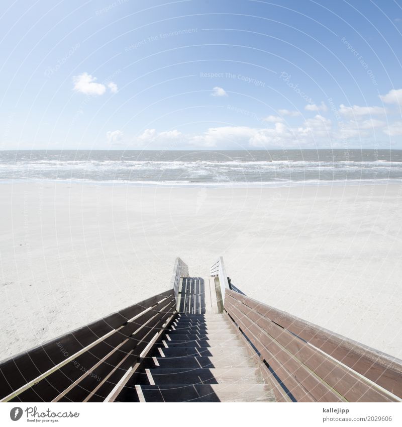 Stairway to heaven Lifestyle Environment Nature Landscape Air Water Sky Cloudless sky Clouds Horizon Beautiful weather Waves Coast Beach North Sea Ocean