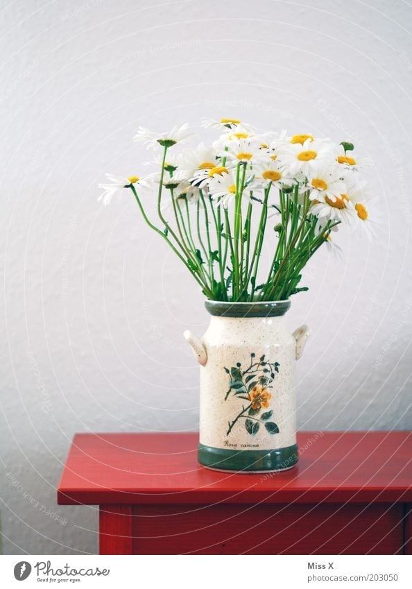 home-picked Decoration Flower Blossom Blossoming Fragrance Bouquet Vase Table Marguerite Colour photo Multicoloured Interior shot Deserted Red Day