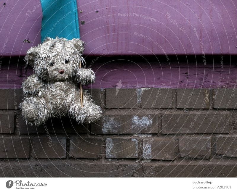 mascot Wall (barrier) Wall (building) Toys Teddy bear Cuddly toy Flag Dirty Gloomy Serene Unwavering Sadness Grief Disappointment Loneliness Exhaustion Brick
