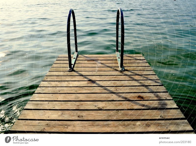 Late cooling Vacation & Travel Summer Summer vacation Swimming pool Water Beautiful weather Lakeside Brown Green Calm Footbridge Jetty Colour photo