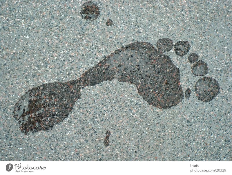counterbore spreader Footprint Wet Tracks Human being Feet Stone Water Barefoot