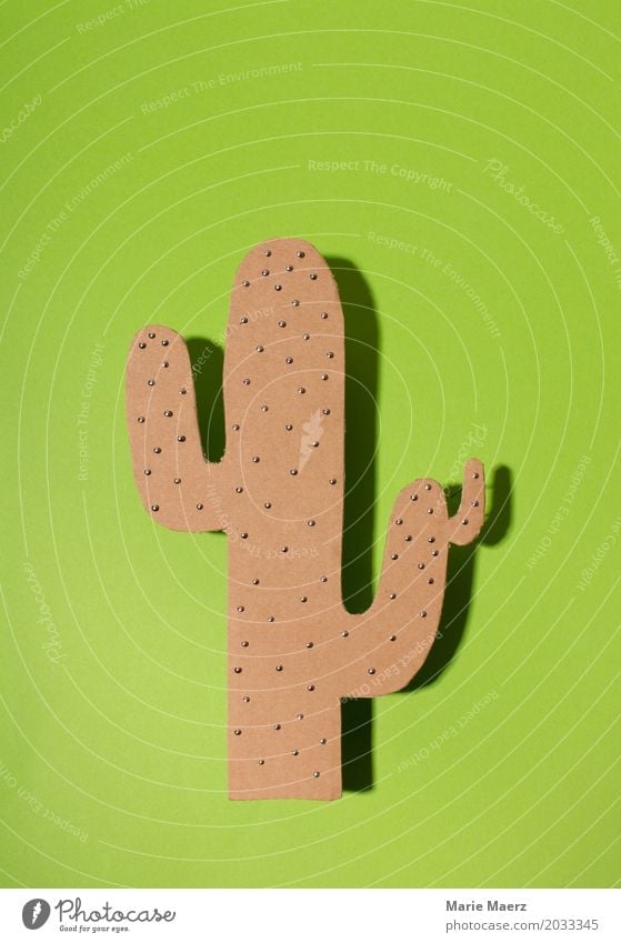 cactus Design Cactus Exotic Looking Stand Living or residing Uniqueness Thorny Green Pain Respect Loneliness Kitsch Art prick Point paper cut Self-made