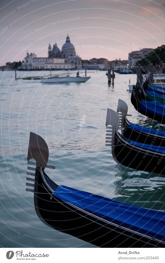 Gondolas in Venice Life Relaxation Leisure and hobbies Trip Far-off places Weather Building Boating trip Ferry Watercraft Famousness Moody Wanderlust Gondolier