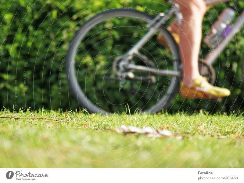 sporty! Human being Adults Legs Feet Nature Plant Summer Grass Park Meadow Driving Bicycle Cycling Cycling tour Colour photo Multicoloured Exterior shot Day