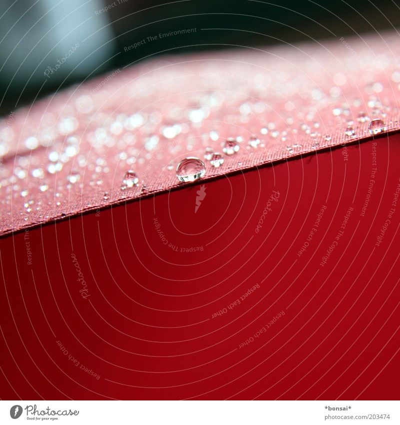 UmBRelLA Water Drops of water Spring Weather Bad weather Rain Umbrella Line Glittering Thin Fresh Wet Red Safety Protection Nature Waterproofing Cloth