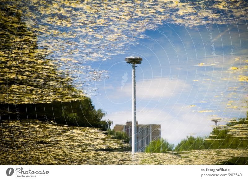 Sterntalerchens Monday production Water Sky Clouds Aquatic plant Algae Lakeside Pond River Bremen House (Residential Structure) Street lighting Reflection