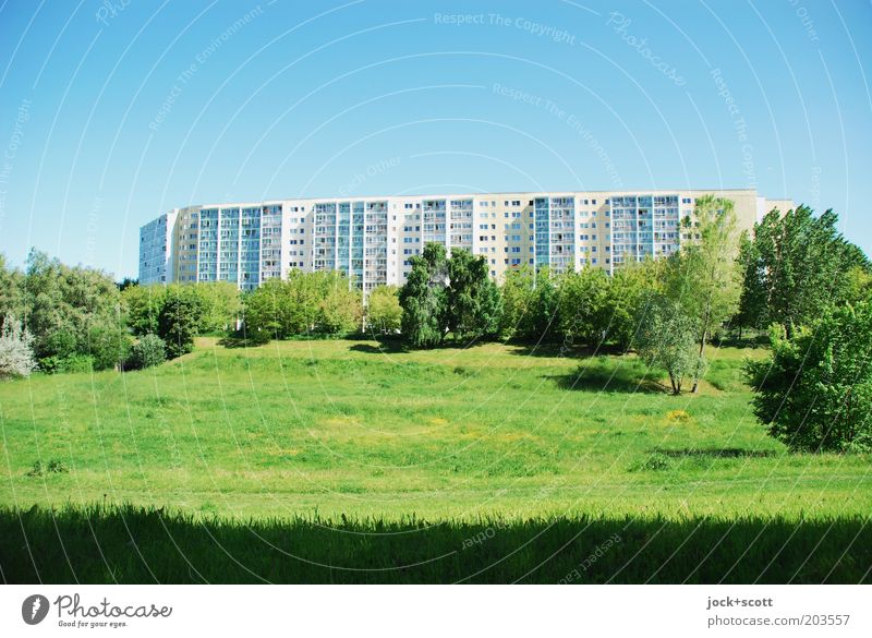 southern marzipania Cloudless sky Beautiful weather Tree Meadow Marzahn Architecture Prefab construction Facade Authentic naturally Moody Acceptance Uniqueness