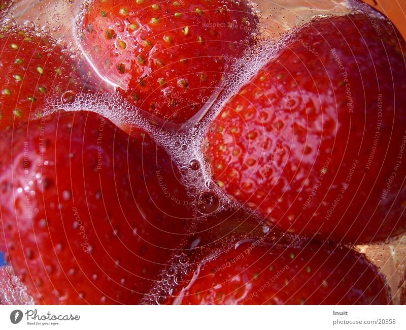 Strawberries 02 Sparkling wine Prosecco Champagne bubbles Alcoholic drinks Strawberry Close-up