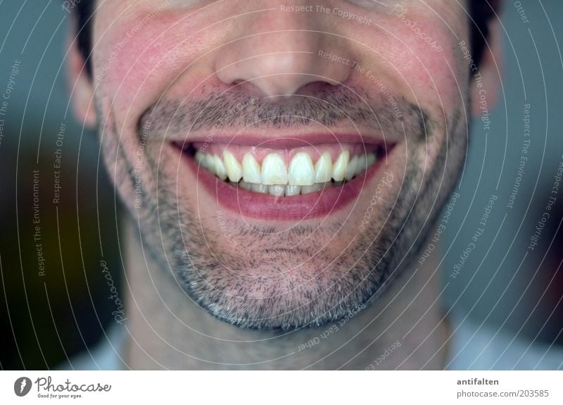 jet man Human being Masculine Man Adults Head Face Nose Mouth Lips Teeth Facial hair 1 30 - 45 years Black-haired Brunette Designer stubble Smiling Laughter