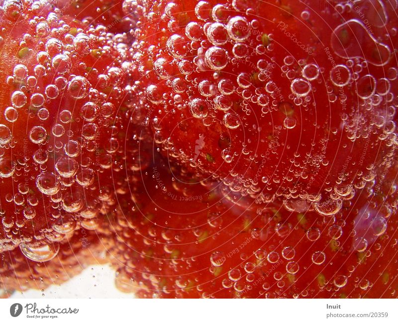 Strawberries 03 Sparkling wine Prosecco Champagne bubbles Alcoholic drinks Strawberry Close-up