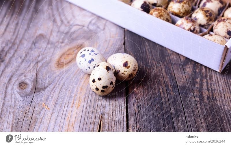 Three fresh quail eggs on a gray wooden surface Food Eating Breakfast Diet Table Easter Group Nature Wood Fresh Small Natural Above Brown Gray Tradition Useful