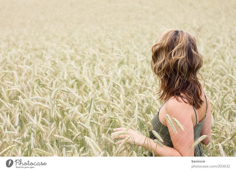 cornfield Woman Human being Cornfield Stand Loneliness Wheat Field Dreamily Nature Touch Life Thin Copy Space left Agriculture Grain Rear view Summer