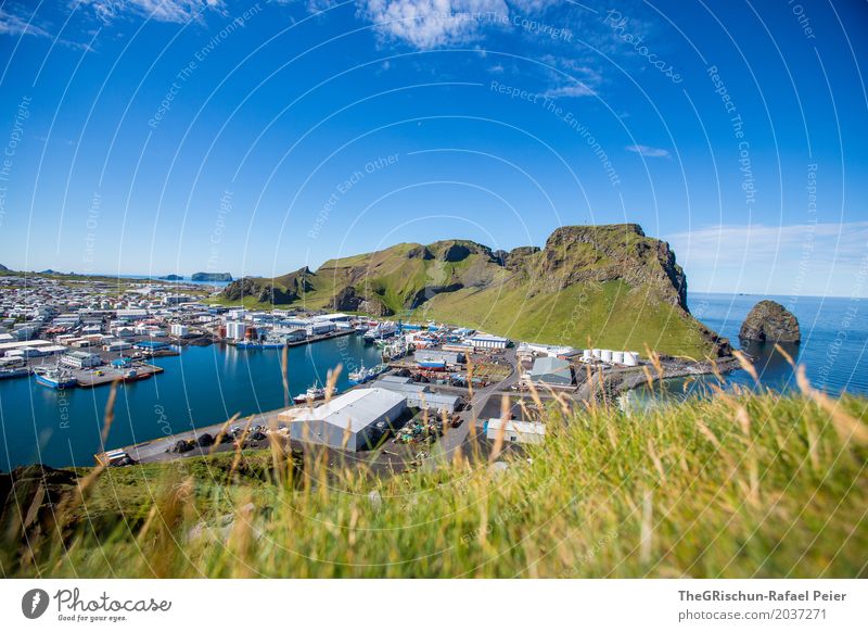 Heimaey II Environment Nature Landscape Blue Green Iceland Industry Fishing port Harbour Island Hill Vantage point Panorama (View) Watercraft