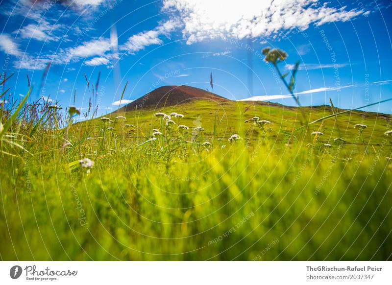 volcano Environment Nature Landscape Blue Green Volcano Grass Heimaey Iceland Volcanic island Sky Perspective Gorgeous Beautiful weather Stone Hill Pasture