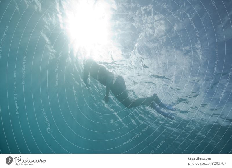 HER WAY INTO THE LIGHT Dive Snorkeling Woman Under Water Ocean Light Flare Sunlight Vacation & Travel Relaxation Waves Pacific Ocean Blue Colour photo