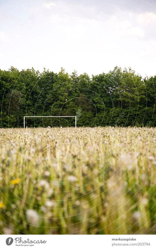orphaned soccer field Leisure and hobbies Summer Soccer Soccer Goal Meadow Meadow flower Sporting Complex Football pitch Deserted Copy Space top Exterior shot