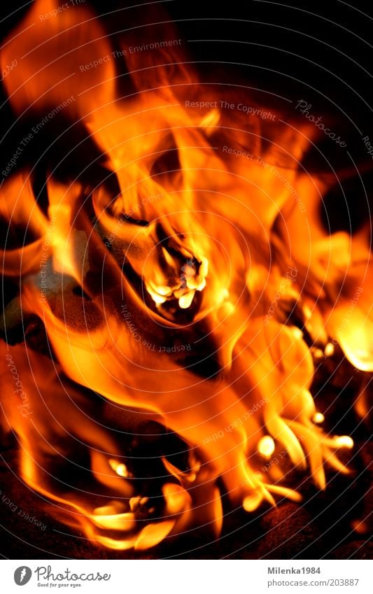 inferno Elements Fire Summer Hot Bright Wild Yellow Red Burn Flame Coal Warmth Embers Blaze Colour photo Exterior shot Close-up Central perspective