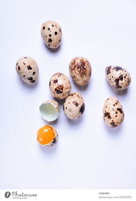 Fresh quail eggs on a white surface Nutrition Eating Breakfast Diet Table Easter Nature Small Natural Above Brown White Tradition Yolk eco Organic Farm Tasty