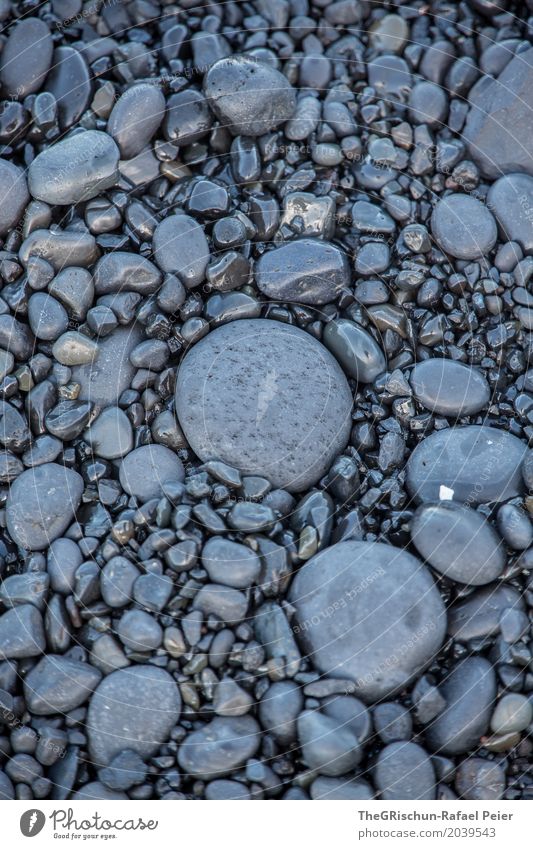 rock Environment Nature Black Lava Lava beach Stone Gray Anthracite Oval Round Flat Iceland Colour photo Exterior shot Detail Deserted Copy Space left