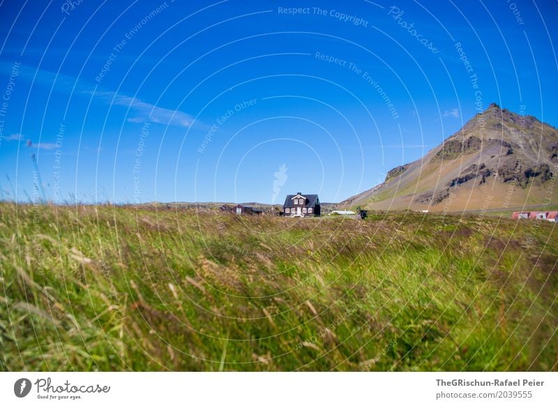 House on the mountain Environment Nature Landscape Blue Green Mountain Iceland Travel photography House (Residential Structure) Meadow Sky Cloudless sky