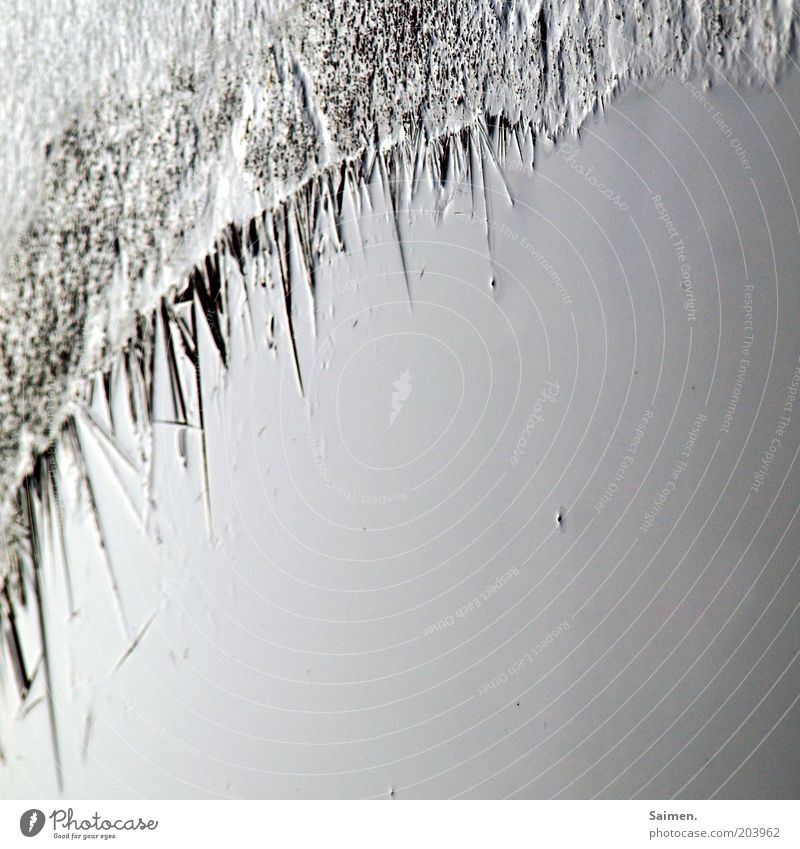 ice hockey Nature Water Winter Ice Frost Cold Environment ice slivers Cooling Frozen Freeze Structures and shapes Icicle Aggregate state Colour photo