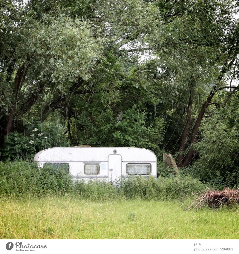 place of refuge caravan Camping Nature Landscape Plant Tree Grass Bushes Meadow Forest Caravan Green White Loneliness Weekend Real estate Colour photo