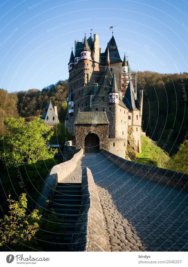 somewhere eltz 2 Vacation & Travel Tourism Sightseeing Landscape Cloudless sky Spring Tree Forest Mountain Castle Architecture Tourist Attraction