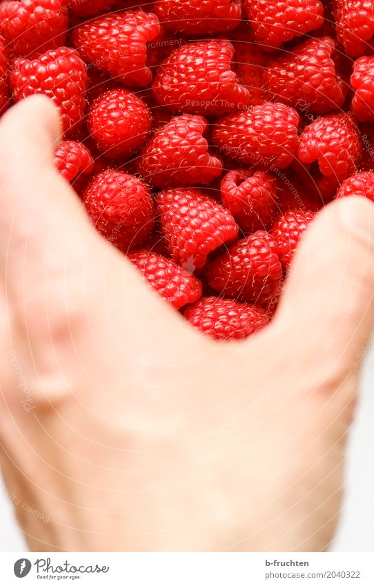 a handful of sweetberries Fruit Man Adults Hand 30 - 45 years Touch To enjoy Fresh Healthy Desire Lust Raspberry Candy Take Berries Milkshake Funnel Fill Fruity