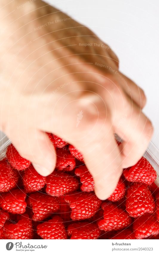 Access now! Fruit Organic produce Man Adults Hand Fingers 30 - 45 years Plastic packaging Touch Fresh Healthy Red Raspberry Berries Take Fruity Milkshake