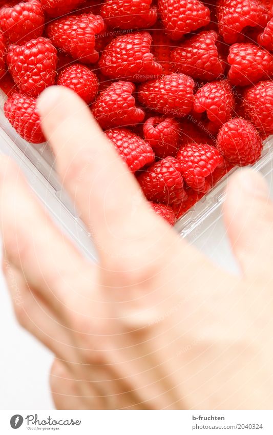 Grab it! Fruit Man Adults Hand Fingers 30 - 45 years Shopping Eating Fresh Healthy Red Raspberry Fruity Mature Blister Candy Grasp Colour photo Interior shot
