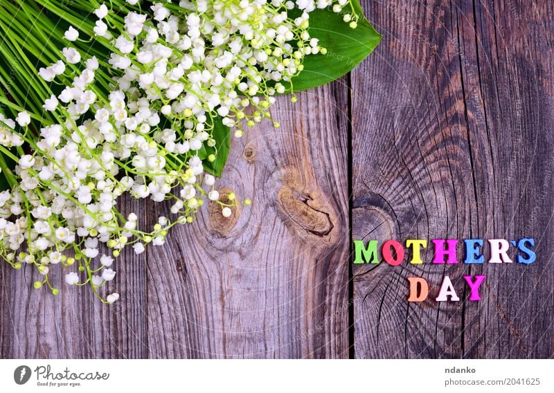 background with the inscription Mother's Day Plant Flower Bouquet Wood Blossoming Bright Small Gray White Lily of the valley spring Fragrant Stalk holiday