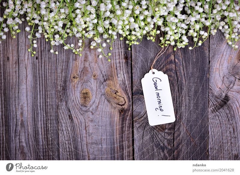 paper tag with the inscription good morning Beautiful Garden Plant Flower Paper Bouquet Wood Bright Small Gray White Beginning Lily of the valley blooming