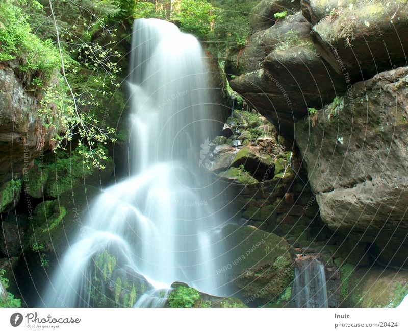 waterfall Hissing Saxon Switzerland Rock Stone Lichtenhain
