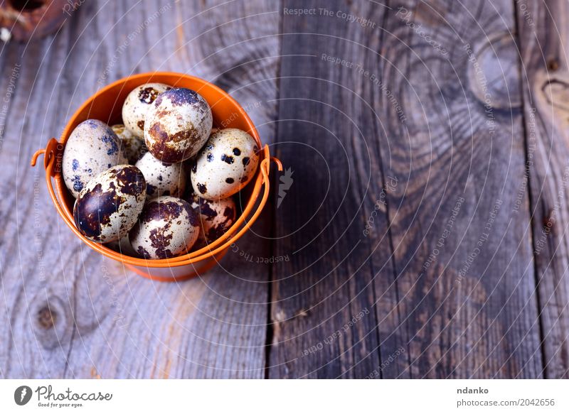 Fresh quail eggs in an orange bucket Eating Breakfast Diet Table Easter Group Nature Wood Bright Small Natural Above Gray Tradition Bucket eco Organic Farm