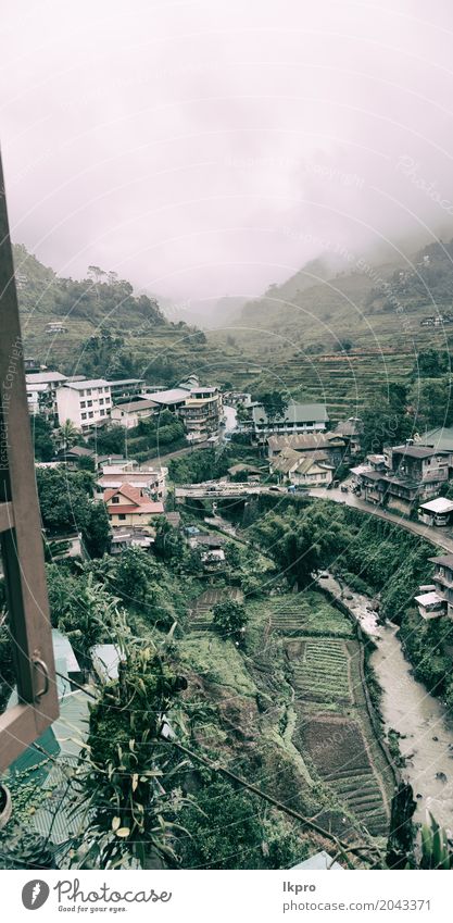 coultivation of rice from banaue unesco site Beautiful Vacation & Travel Mountain Hiking House (Residential Structure) Environment Nature Landscape Plant Earth