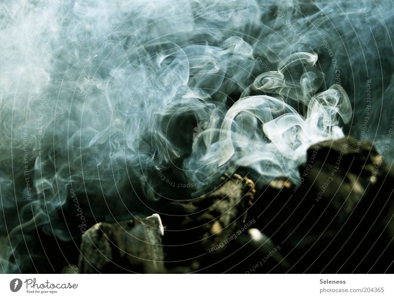 smoked females Wood Smoke Fire Charcoal Colour photo Exterior shot Deserted Copy Space left Copy Space right Copy Space top Copy Space bottom Light Shadow