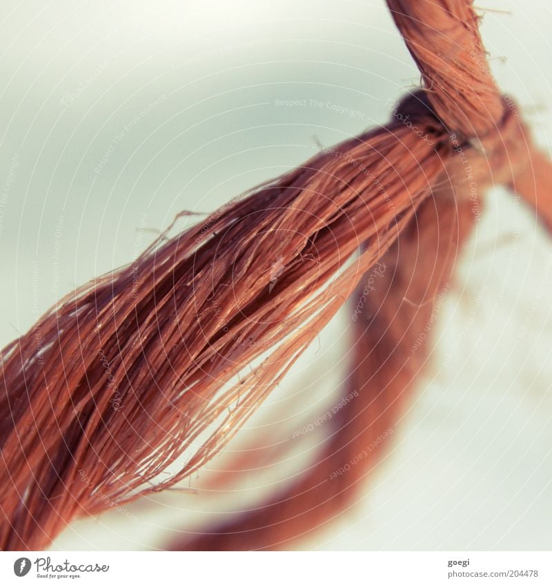 knot String Rope Plastic Knot Bow Red Stress Attachment Colour photo Exterior shot Detail Deserted Copy Space left Copy Space top Neutral Background Day
