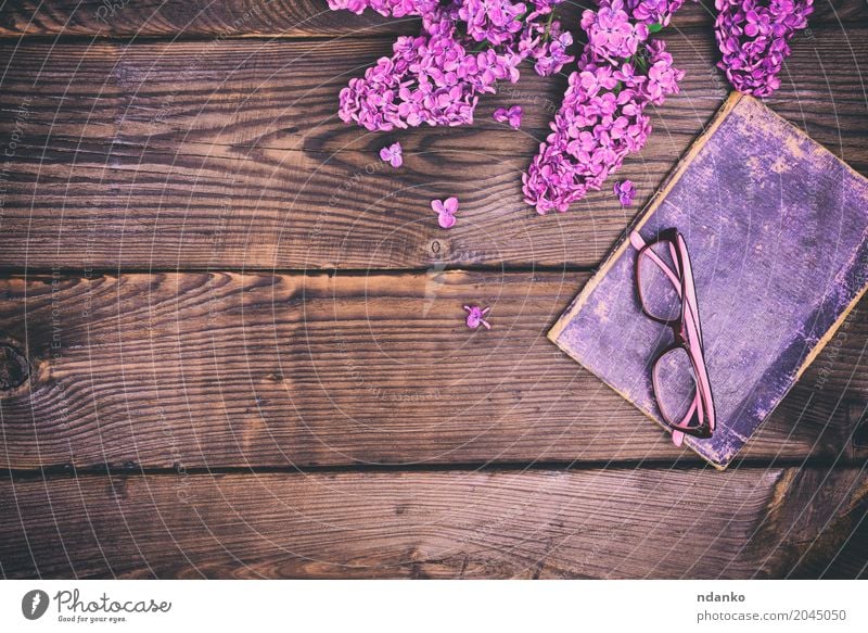 old book in the cover and glasses Leisure and hobbies Education Book Flower Paper Wood Old Blossoming Study Retro Brown Violet rim Lilac background vintage