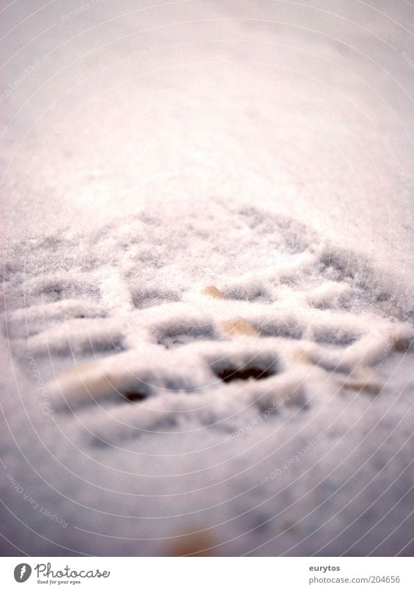 Winter is here! White Footprint Exterior shot Close-up Detail Macro (Extreme close-up) Lomography Holga Copy Space top Day Blur Shallow depth of field Imprint