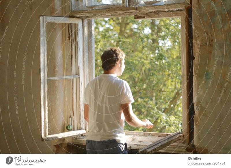 Window of hope Flat (apartment) Interior design Window frame Masculine Young man Youth (Young adults) 18 - 30 years Adults Nature Sunlight Tree