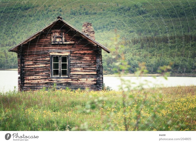 hut Vacation & Travel Trip House (Residential Structure) Environment Nature Landscape Summer Beautiful weather Flower Meadow Forest Lakeside Hut Green