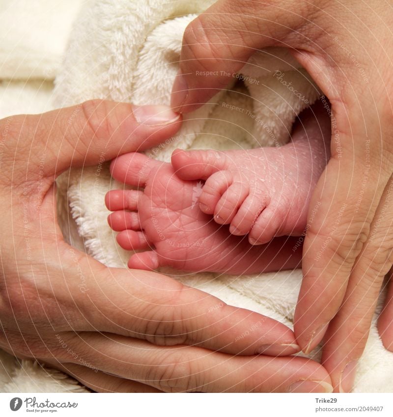 Young mother forms a heart around baby feet with her hand Human being Feminine Child Baby Toddler Girl Boy (child) Young woman Youth (Young adults) Young man
