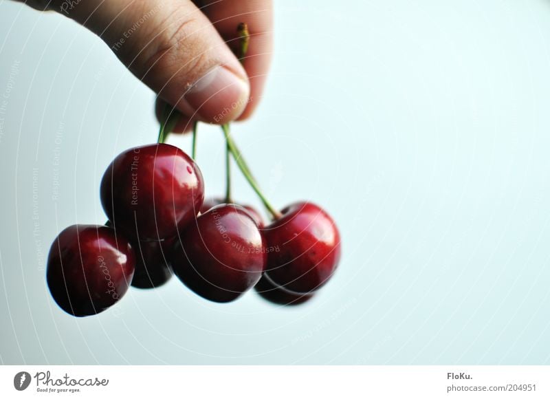 delicious cherries! Food Fruit Nutrition Organic produce Vegetarian diet Diet Hang Glittering Delicious Round Juicy Beautiful Sweet Red White Cherry Stone fruit