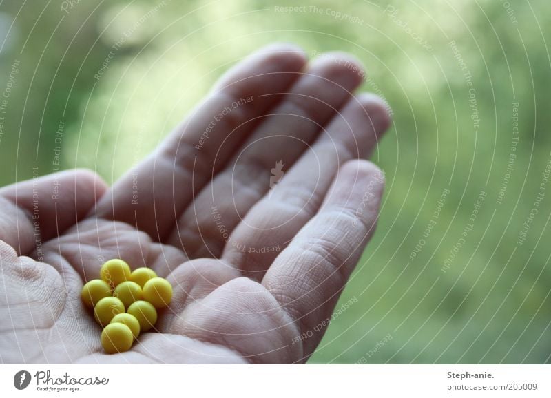 flower pearls Plastic Small Yellow Green Blur Gift Sphere Pearl Indicate Candy Fingers Nonpareilles Alternative medicine Hand Give Donate Copy Space top