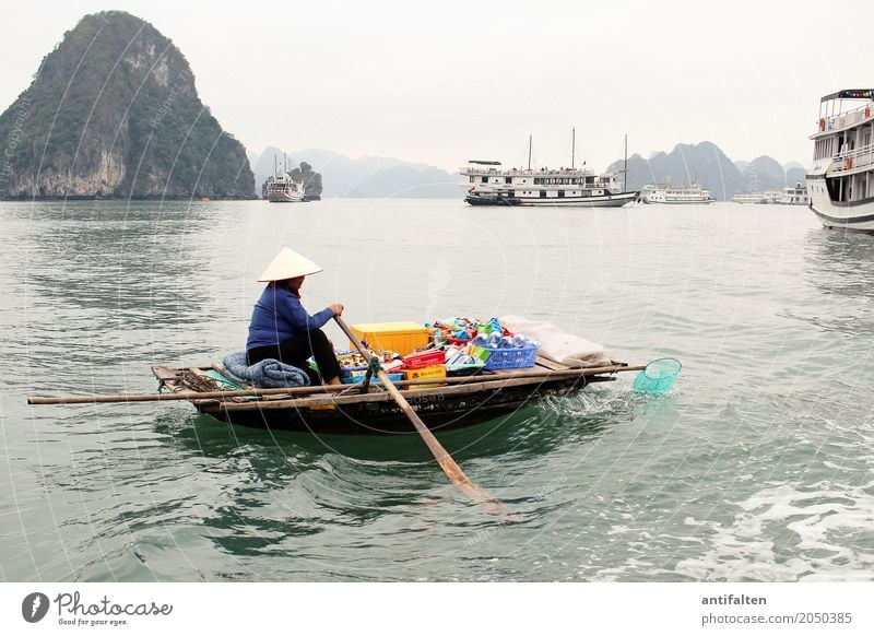 Risk | Boat sales in Vietnam Food Beverage Cold drink Shopping Vacation & Travel Tourism Adventure Sightseeing Cruise Work and employment Merchant Watercraft