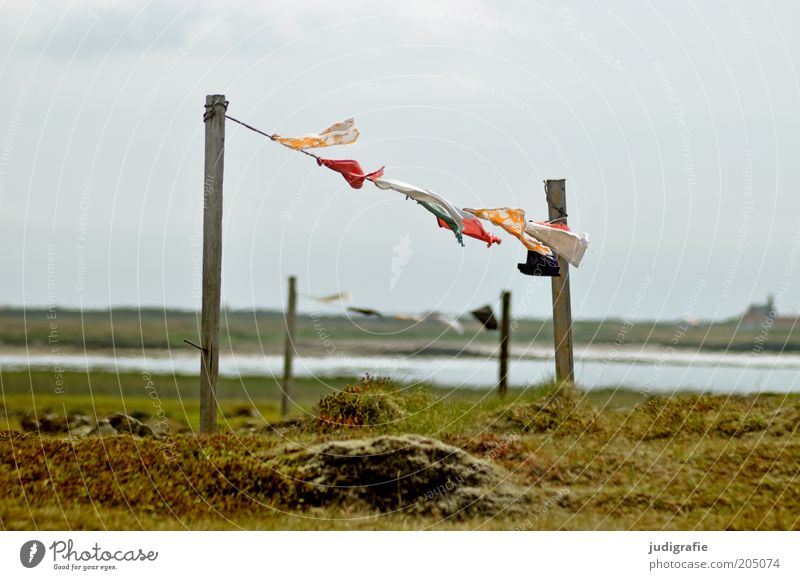 Iceland Environment Nature Landscape Water Sky Weather Wind Grass Lakeside Movement Hang Multicoloured Rope Wooden stake Textiles Cloth Colour photo